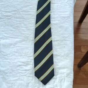 Franco Arioli Striped Black and Yellow Silk Tie